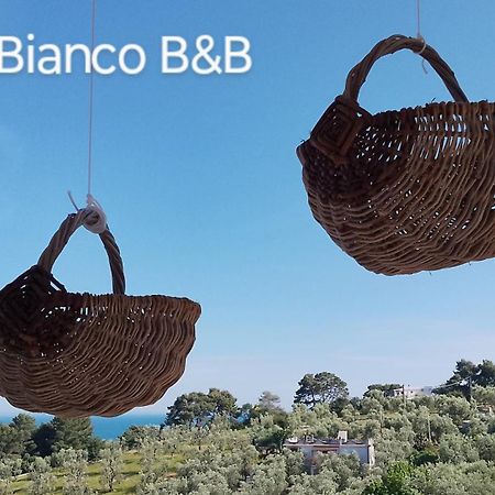 B&B L'Altare Bianco 维耶斯泰 外观 照片