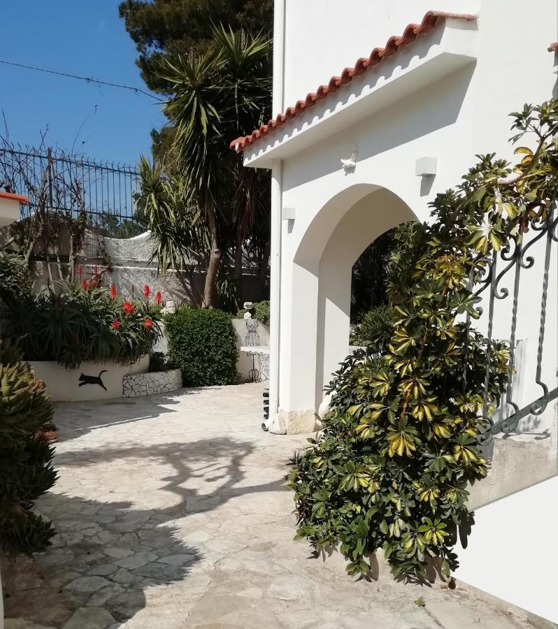 B&B L'Altare Bianco 维耶斯泰 外观 照片