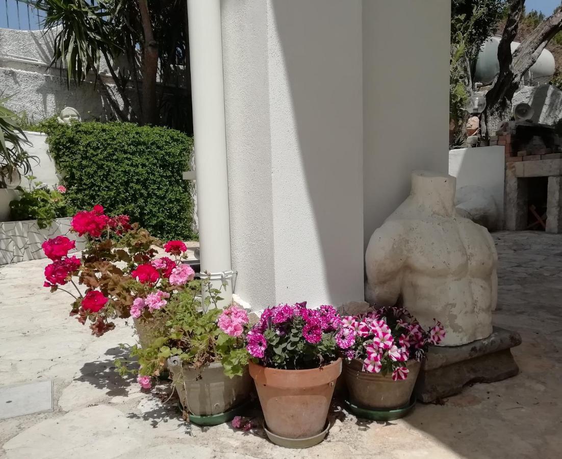 B&B L'Altare Bianco 维耶斯泰 外观 照片