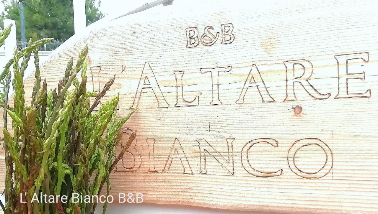 B&B L'Altare Bianco 维耶斯泰 外观 照片