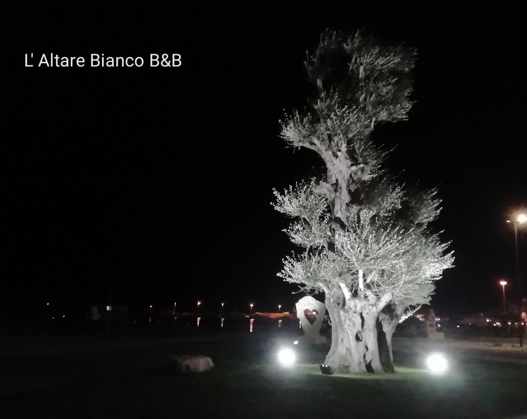 B&B L'Altare Bianco 维耶斯泰 外观 照片