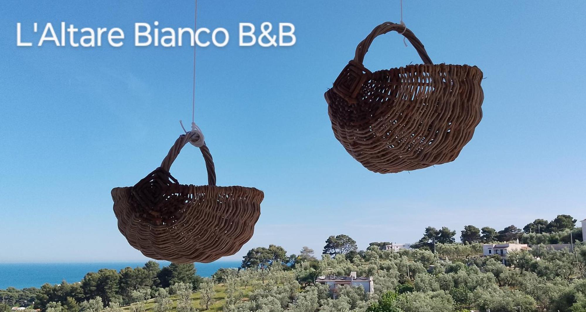 B&B L'Altare Bianco 维耶斯泰 外观 照片